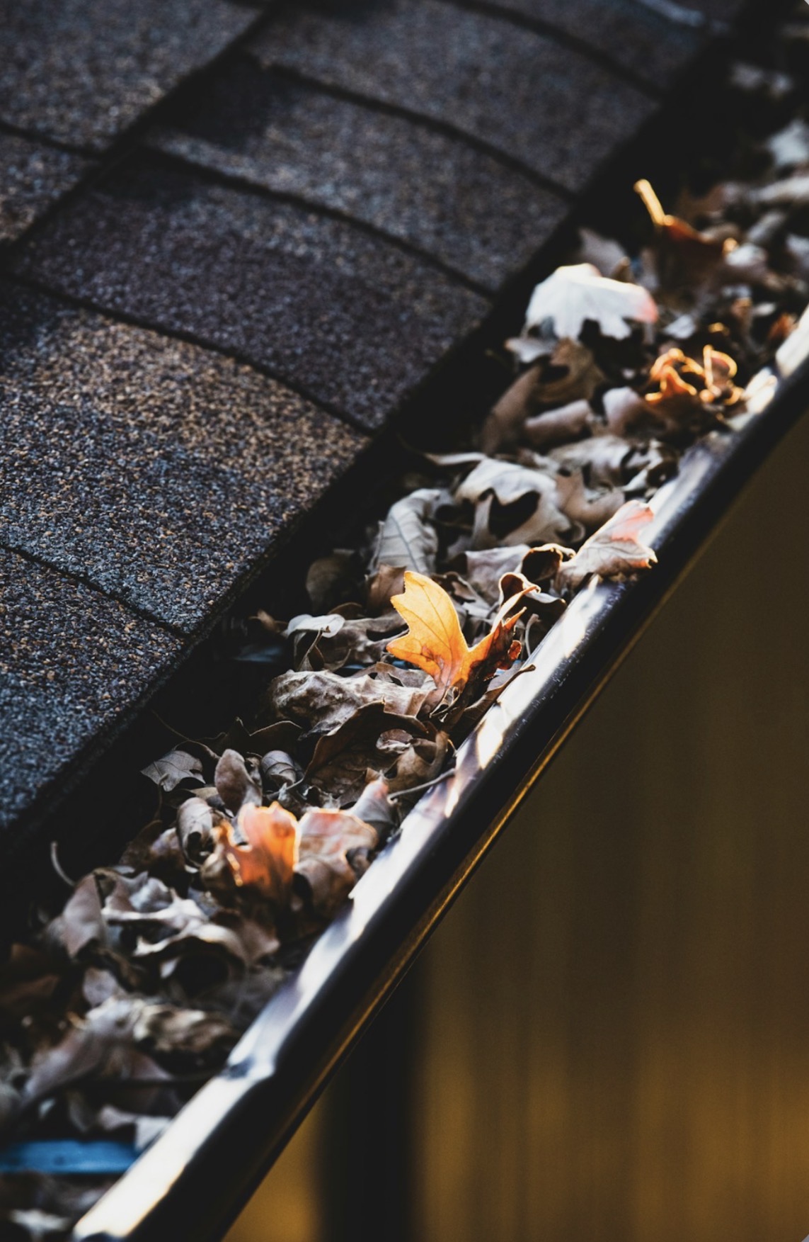 Gutter Installation & Guards photo